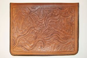 iPad 2 cover with Caenorhabditis elegans.