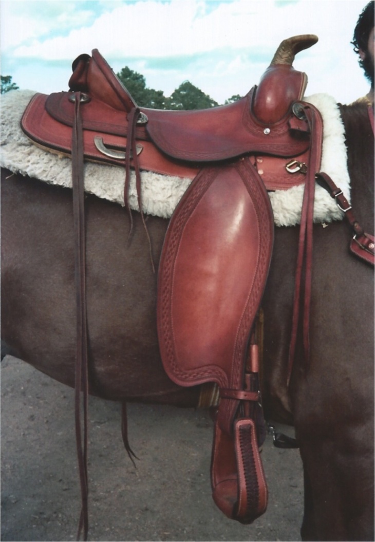 My saddle on Logan